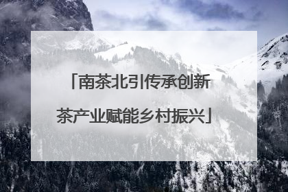 南茶北引传承创新 茶产业赋能乡村振兴