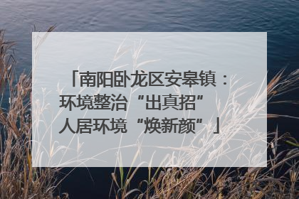 南阳卧龙区安皋镇：环境整治“出真招” 人居环境“焕新颜”
