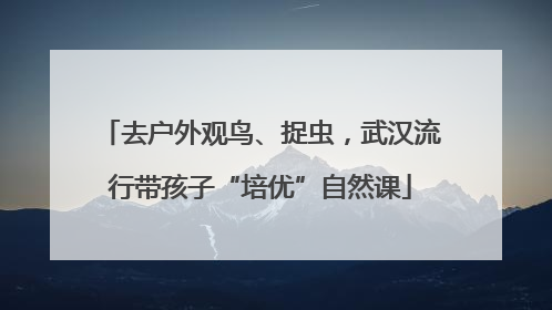 去户外观鸟、捉虫，武汉流行带孩子“培优”自然课
