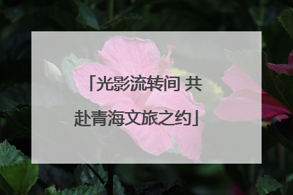 光影流转间 共赴青海文旅之约