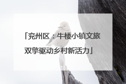 兖州区：牛楼小镇文旅双擎驱动乡村新活力