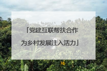 党建互联帮扶合作 为乡村发展注入活力