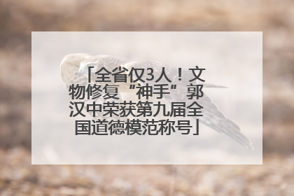 全省仅3人！文物修复“神手”郭汉中荣获第九届全国道德模范称号