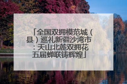 全国双拥模范城（县）巡礼新疆沙湾市：天山北麓双拥花 五届蝉联铸辉煌
