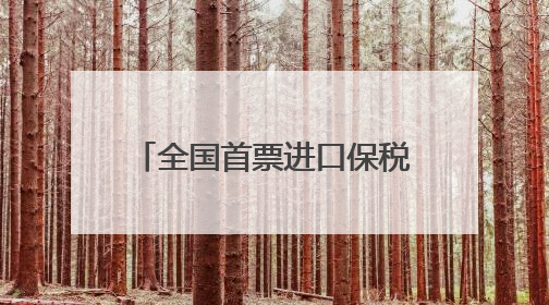 全国首票进口保税岩板在南安入仓