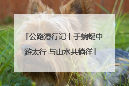 公路漫行记丨于蜿蜒中游太行 与山水共徜徉