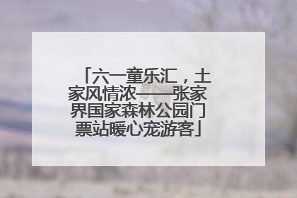 六一童乐汇，土家风情浓——张家界国家森林公园门票站暖心宠游客