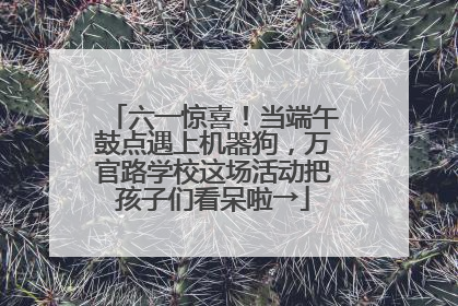 六一惊喜！当端午鼓点遇上机器狗，万官路学校这场活动把孩子们看呆啦→