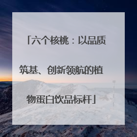 六个核桃：以品质筑基、创新领航的植物蛋白饮品标杆