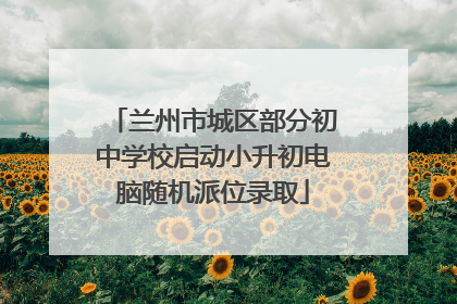 兰州市城区部分初中学校启动小升初电脑随机派位录取