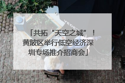 共拓“天空之城”！黄陂区举行低空经济深圳专场推介招商会