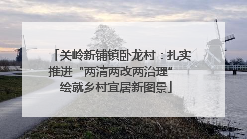 关岭新铺镇卧龙村：扎实推进“两清两改两治理” 绘就乡村宜居新图景