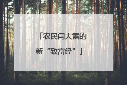 农民闫大雷的新“致富经”