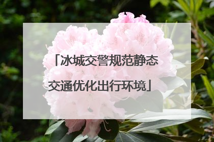 冰城交警规范静态交通优化出行环境