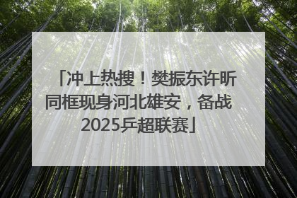 冲上热搜！樊振东许昕同框现身河北雄安，备战2025乒超联赛