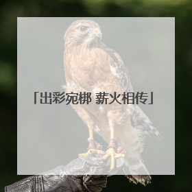出彩宛梆 薪火相传