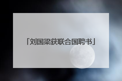 刘国梁获联合国聘书