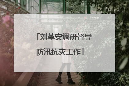 刘革安调研督导防汛抗灾工作