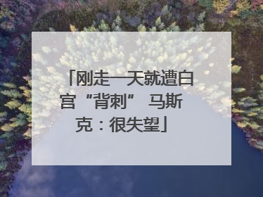 刚走一天就遭白宫“背刺” 马斯克：很失望