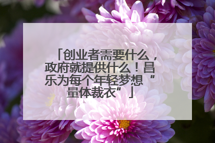 创业者需要什么，政府就提供什么！昌乐为每个年轻梦想“量体裁衣”