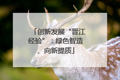 创新发展“晋江经验”：绿色智造、向新提质