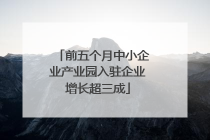 前五个月中小企业产业园入驻企业增长超三成
