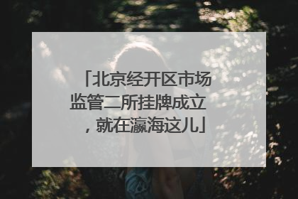 北京经开区市场监管二所挂牌成立，就在瀛海这儿