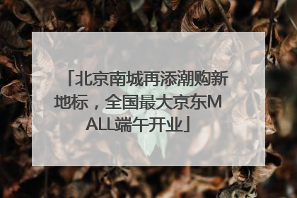 北京南城再添潮购新地标，全国最大京东MALL端午开业