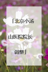 北京小汤山医院院长调整
