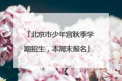 北京市少年宫秋季学期招生，本周末报名