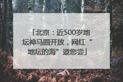 北京：近500岁地坛神马圈开放，网红“地坛的海”邀您尝