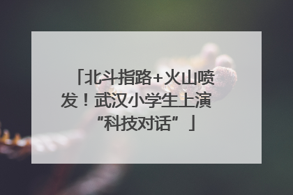 北斗指路+火山喷发！武汉小学生上演“科技对话”