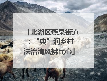 北湖区燕泉街道：“典”润乡村 法治清风拂民心