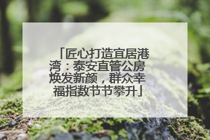 匠心打造宜居港湾：泰安直管公房焕发新颜，群众幸福指数节节攀升