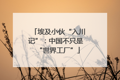 埃及小伙“入川记”：中国不只是“世界工厂”