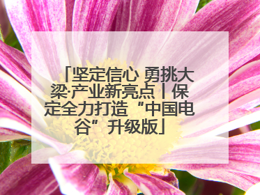 坚定信心 勇挑大梁·产业新亮点丨保定全力打造“中国电谷”升级版