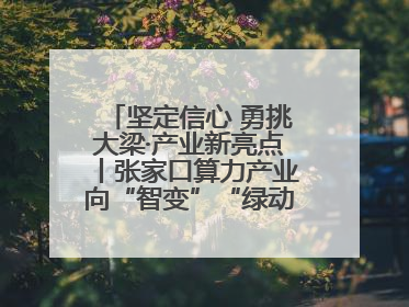 坚定信心 勇挑大梁·产业新亮点丨张家口算力产业向“智变”“绿动”跃升