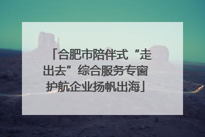 合肥市陪伴式“走出去”综合服务专窗护航企业扬帆出海