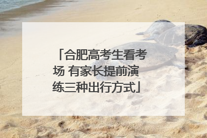 合肥高考生看考场 有家长提前演练三种出行方式