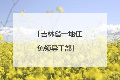 吉林省一地任免领导干部