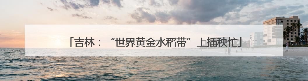 吉林：“世界黄金水稻带”上插秧忙