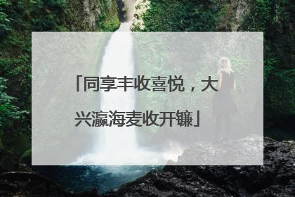 同享丰收喜悦，大兴瀛海麦收开镰
