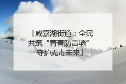 咸嘉湖街道：全民共筑“青春防毒墙” 守护无毒未来