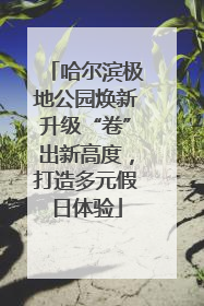 哈尔滨极地公园焕新升级“卷”出新高度，打造多元假日体验