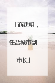 商建明，任盐城市副市长