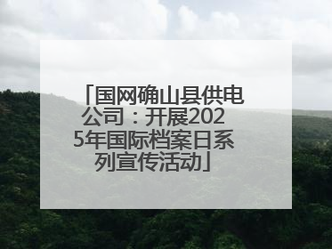 国网确山县供电公司：开展2025年国际档案日系列宣传活动