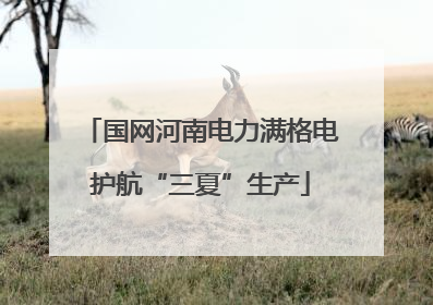 国网河南电力满格电护航“三夏”生产