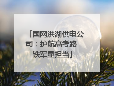 国网洪湖供电公司：护航高考路 铁军显担当