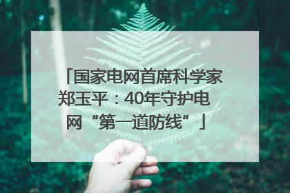 国家电网首席科学家郑玉平：40年守护电网“第一道防线”