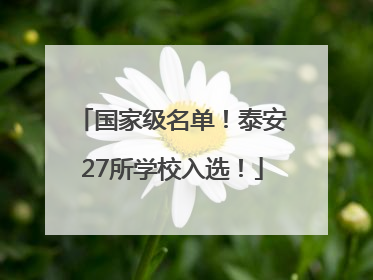 国家级名单！泰安27所学校入选！